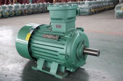 粉塵環(huán)境應該如何選擇粉塵防爆電機型號？