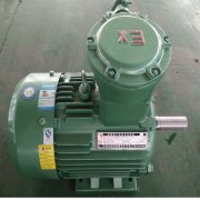 防爆電機(jī)日常維護(hù)工作有哪些？