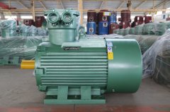 氣體防爆電機(jī)ExdIIBT4Gb的是什么意思？